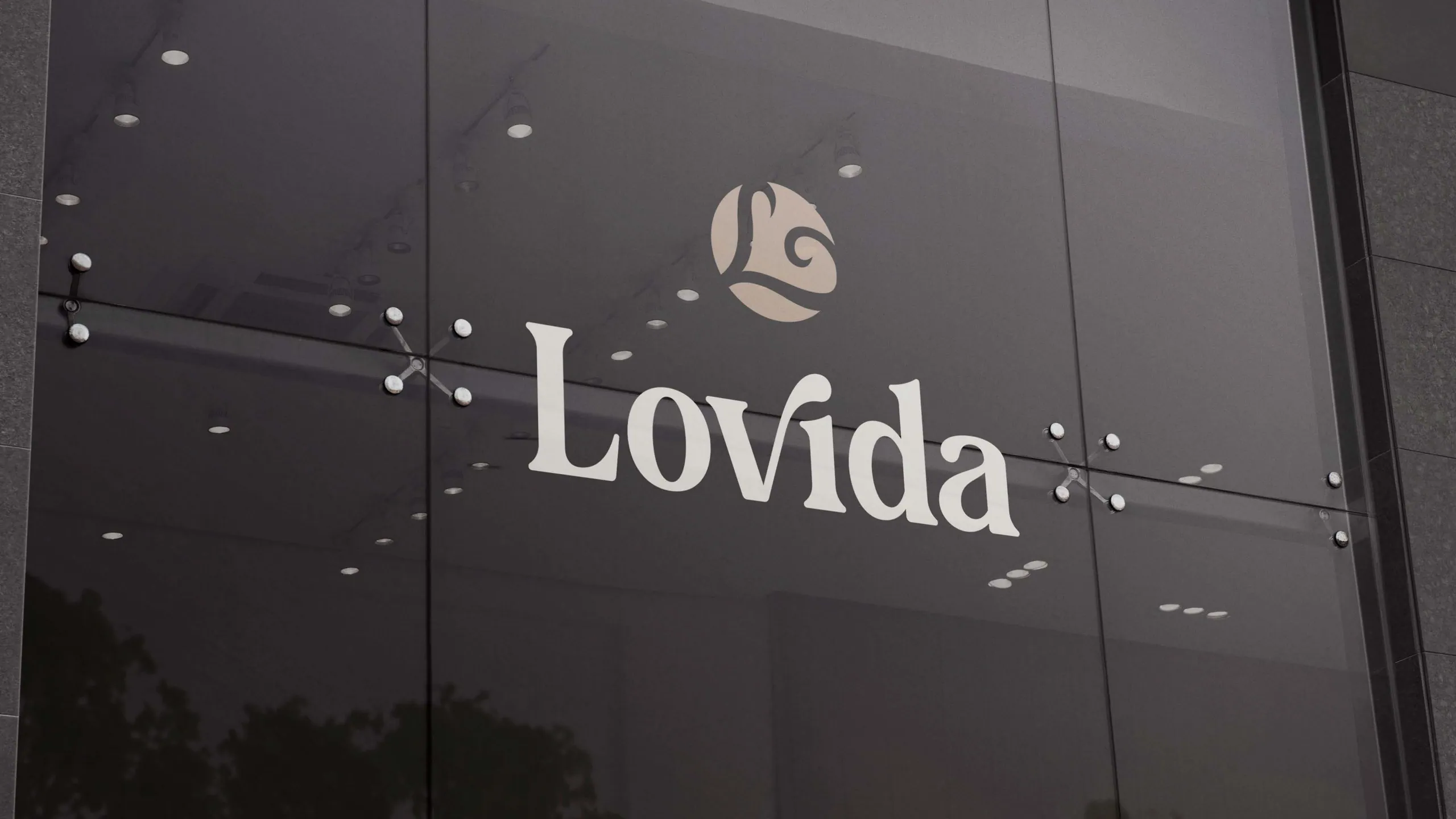 Lovida brand identity